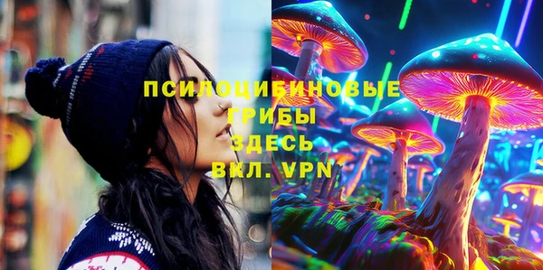 стафф Костерёво