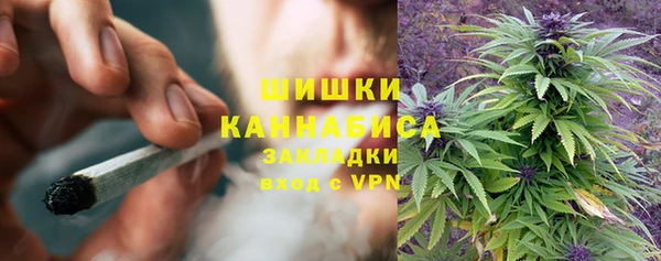 гидропоника Коряжма