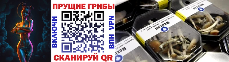 Купить где  Оренбург  Галлюциногенные грибы Psilocybine cubensis 