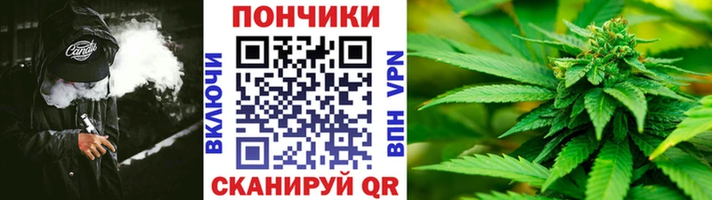 Купить закладки  Оренбург  Шишки марихуана гибрид 